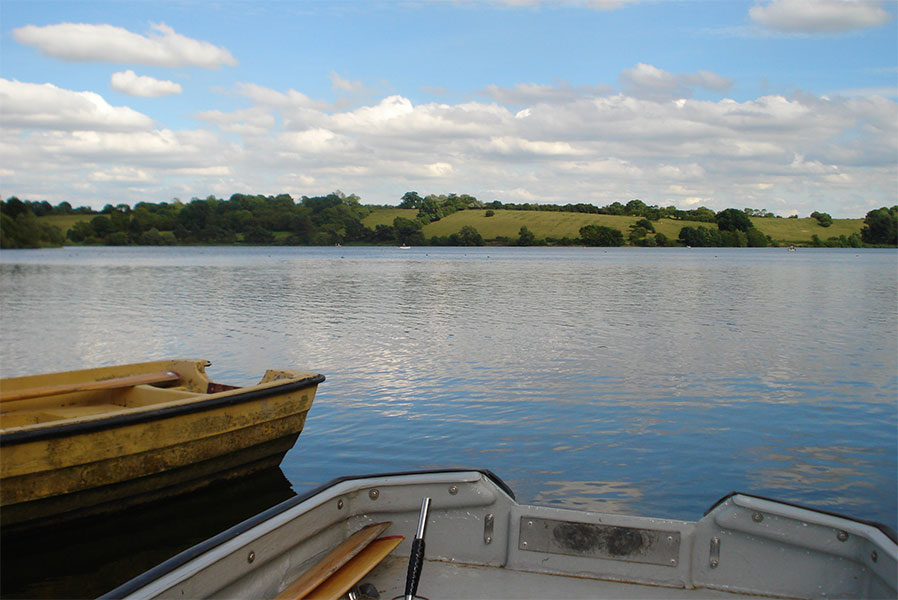 Funny Friday - Fly Guys