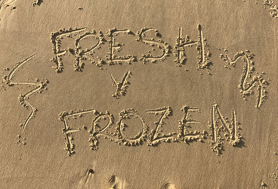 Beach Fishing Bait Challenge - Fresh Worm v Frozen Worm!