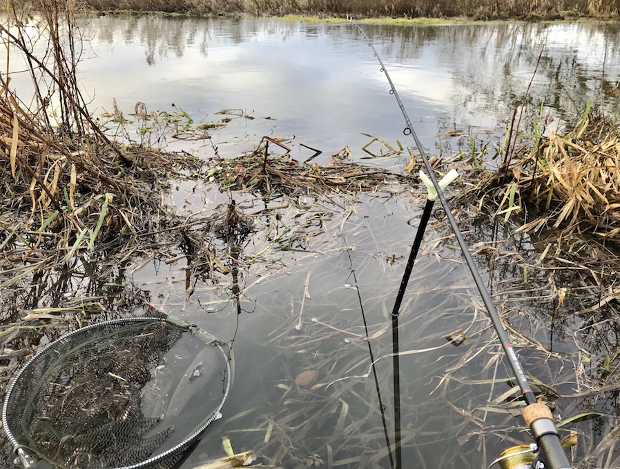 Window Of Opportunity - Justin Grapes