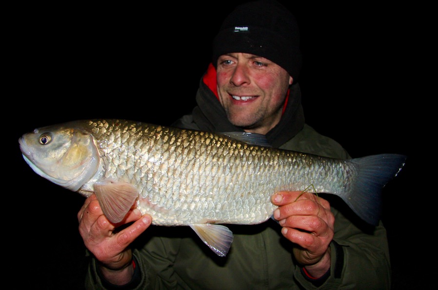 Darryn Stolworthy - Winter Roaming