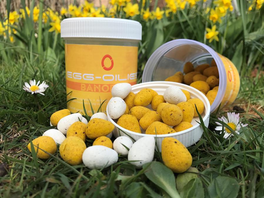 New Egg-Oilies - Never Blank Again!