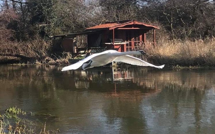 Darryn Stolworthy - River Season Review