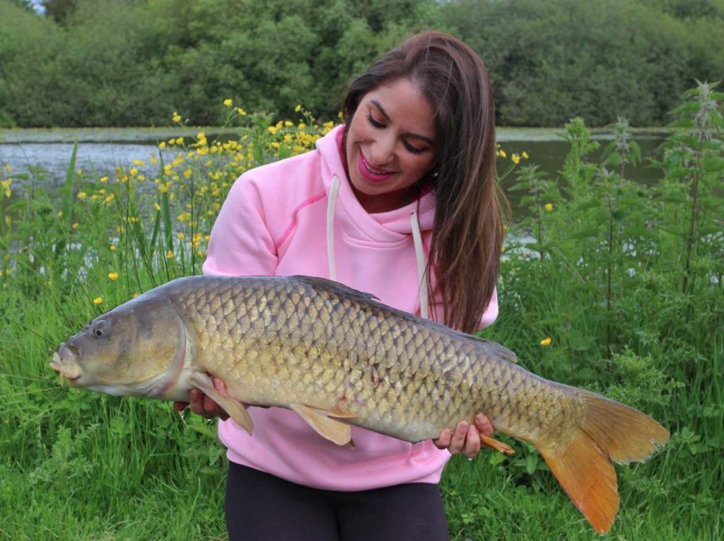 Arezue’s Wright- Surface Success