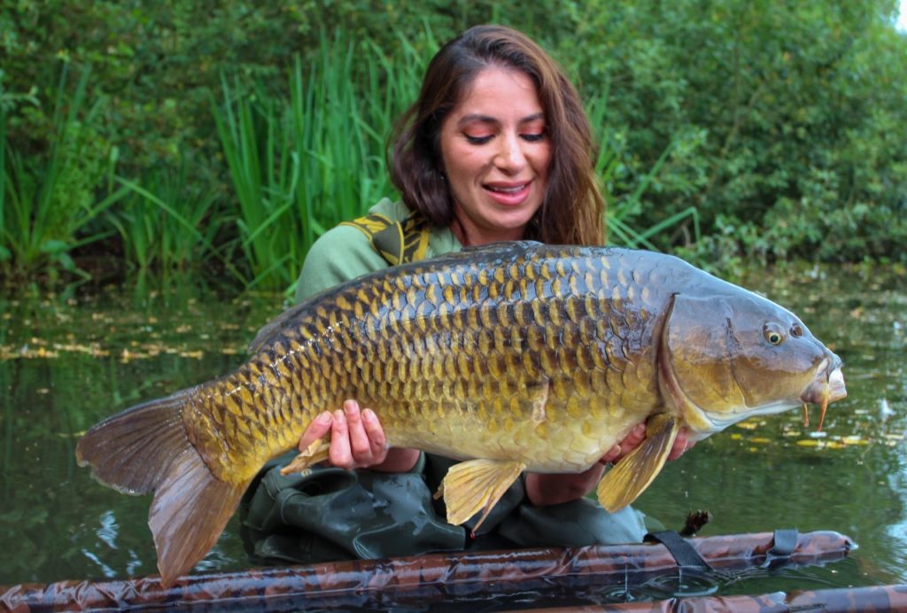 Arezue Wright- Parklife