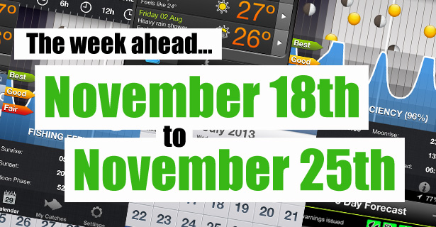 The Week Ahead...