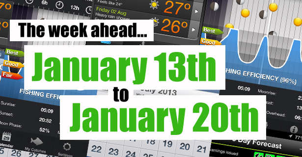The Week Ahead…