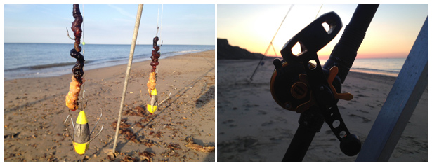 Smooth Hound Fishing II