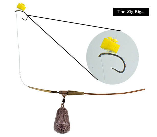 Carp-Rigs-ZIG_RIG