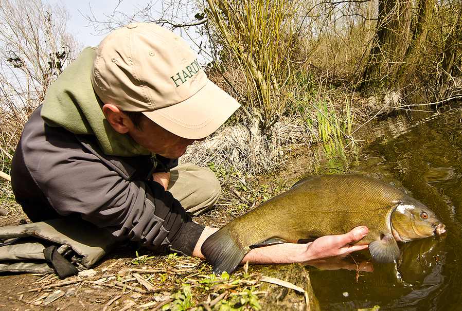 Spring Tench Fishing