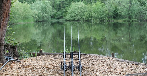 Getting What I Joined For... Scott Kingsley