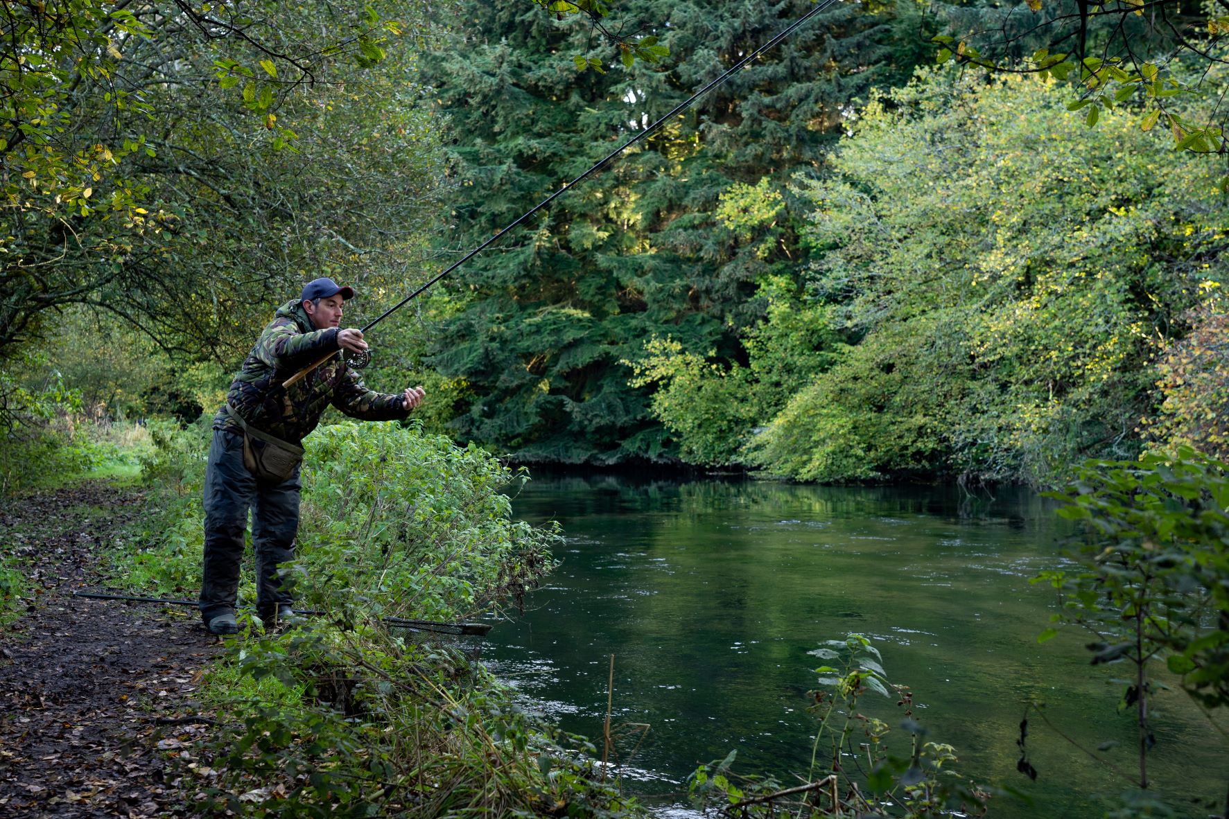 The Specimen Series - With Phil Spinks