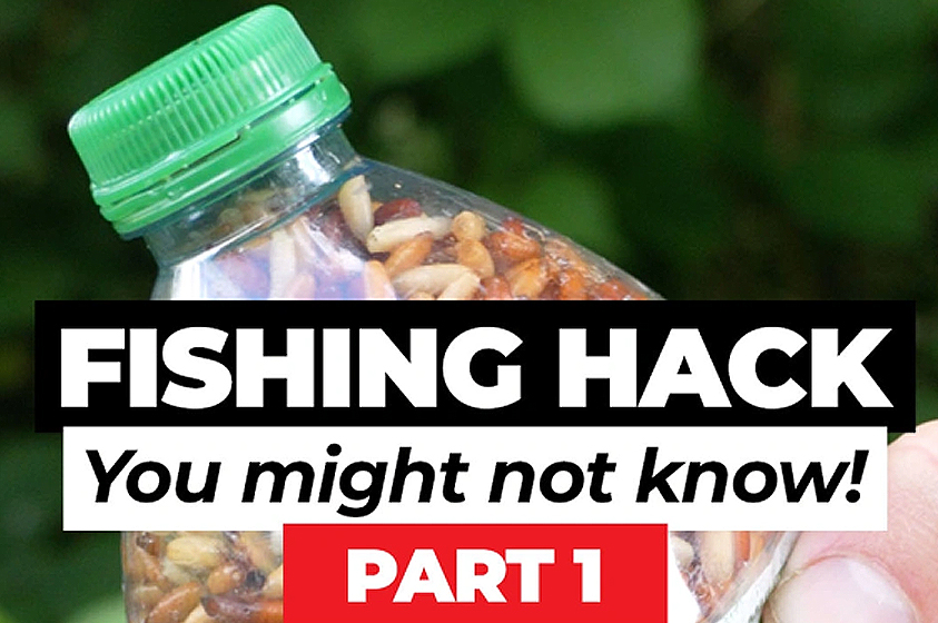 How To Keep Casters Fresh For Up To 6 Weeks! 