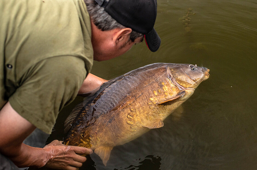 8 Ways to Improve your Zig Fishing this Spring! 