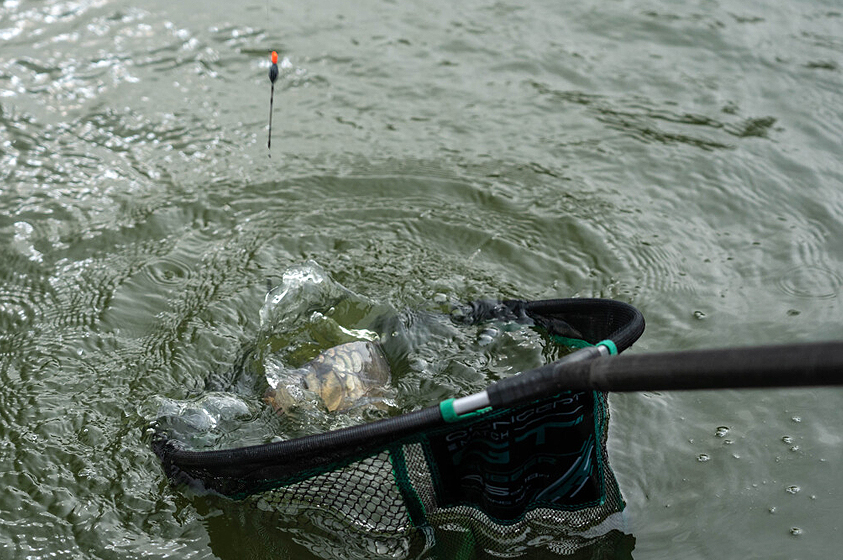 How to Become a Master at Shallow Fishing! 