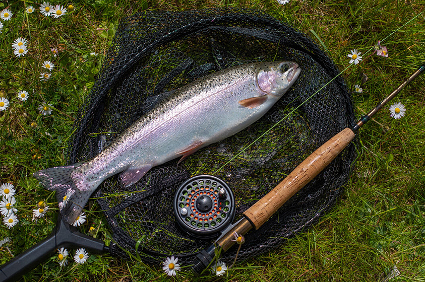 What you need to start Fly Fishing! 