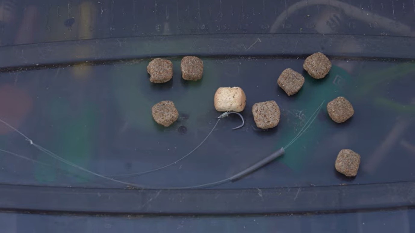 How To Set Up And Use Adjustable Zigs - Carp Fishing Quickbite