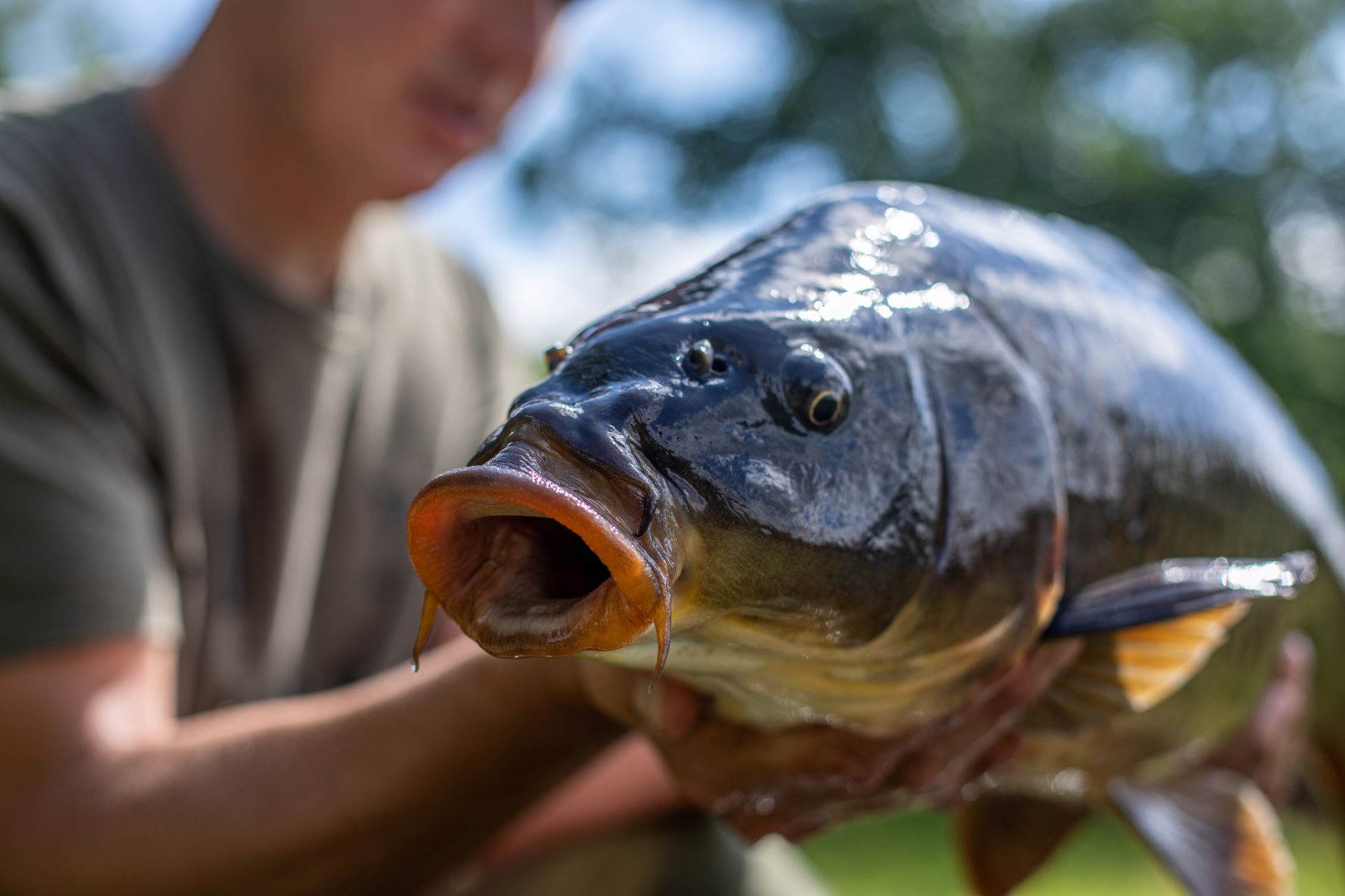 The Ultimate Guide to Carp Fishing Bait – PART 3