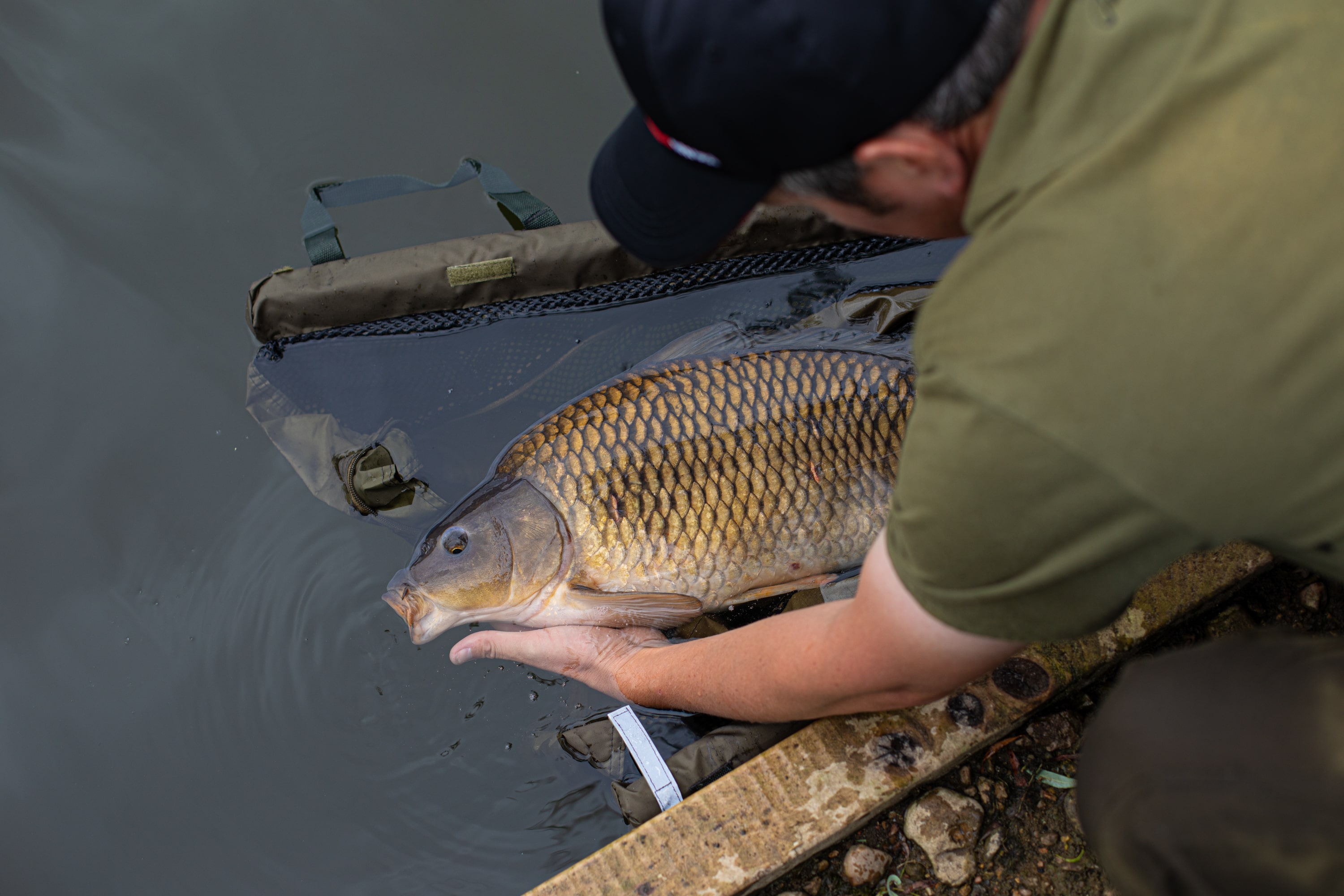 Minimising Fish Stress: Best Practices in Catch and Release