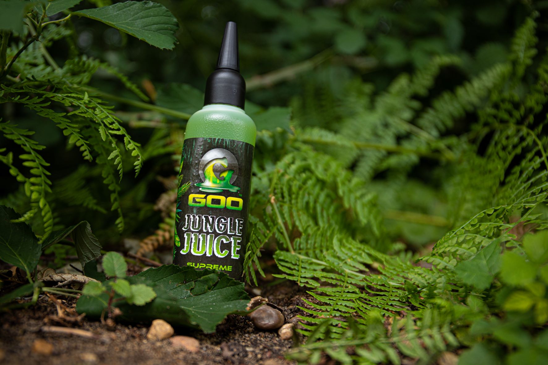 Everything You Need to Know About Korda Goo