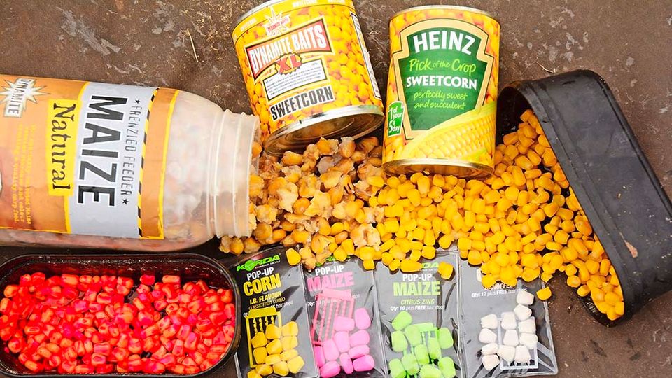Sweetcorn Fishing Tips - Rigs, Feeding, Liquidised