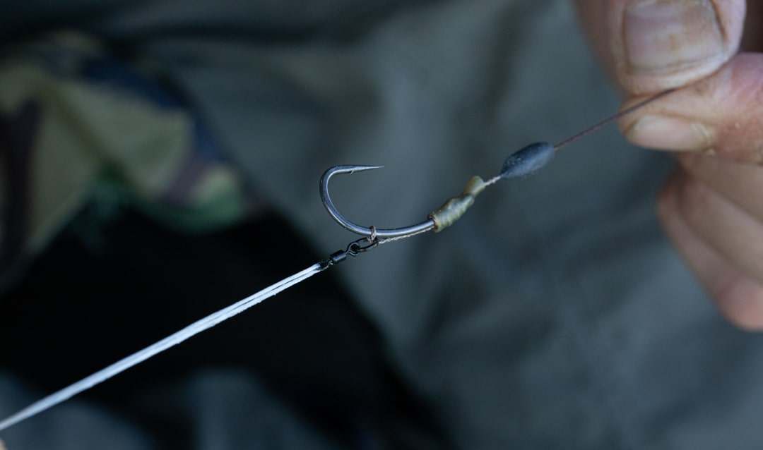 Choosing a Fishing Hook: Different Types and Their Use