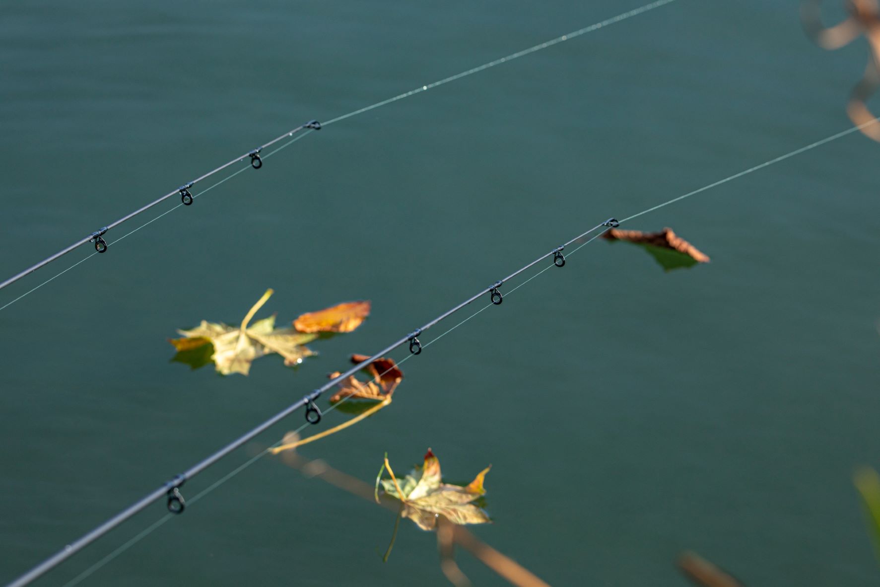 7 Tips for Autumn Fishing
