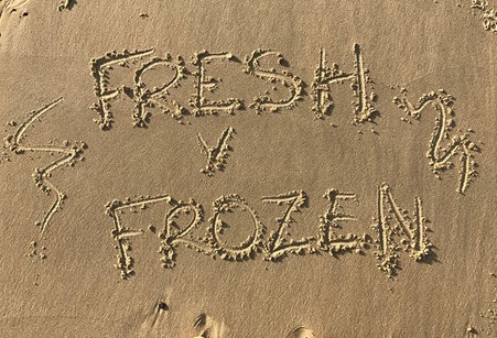 Best Baits: Fresh vs Frozen Fishing Baits