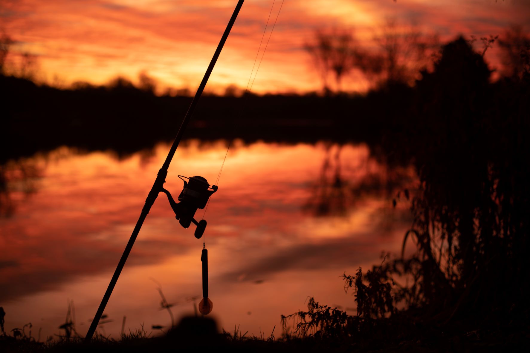 Top 5 Shimano Fishing Reels