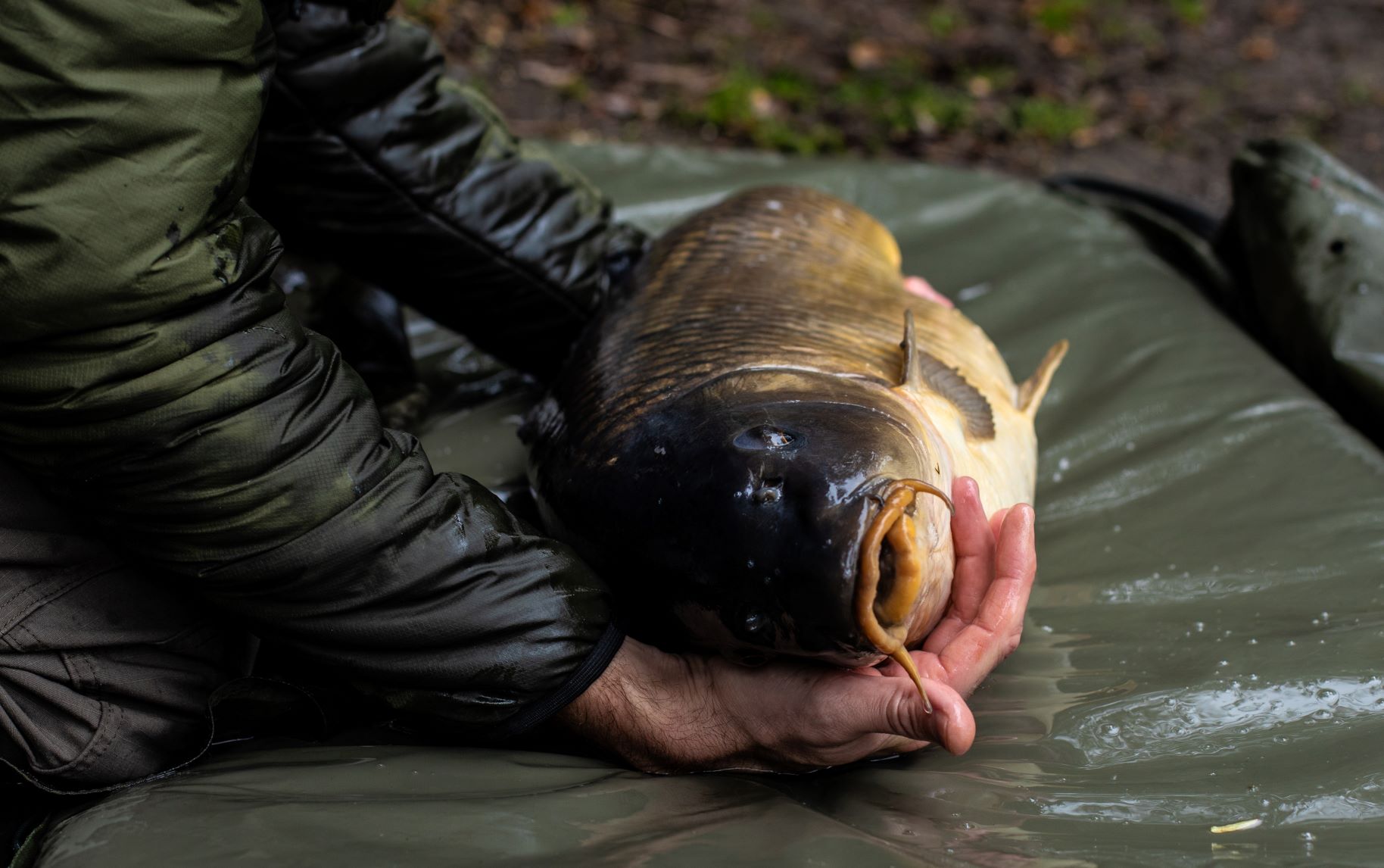 We Care About Fish Care - Angling Priorities