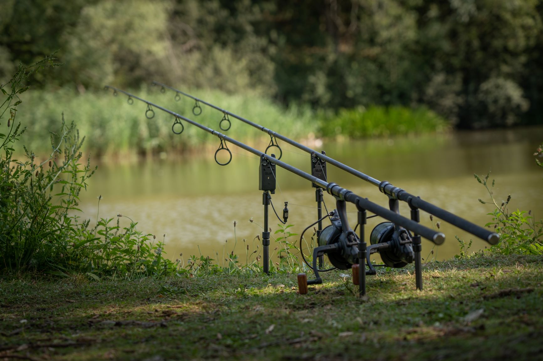 Summer Fishing Tips: Your Guide to Fishing the Seasons