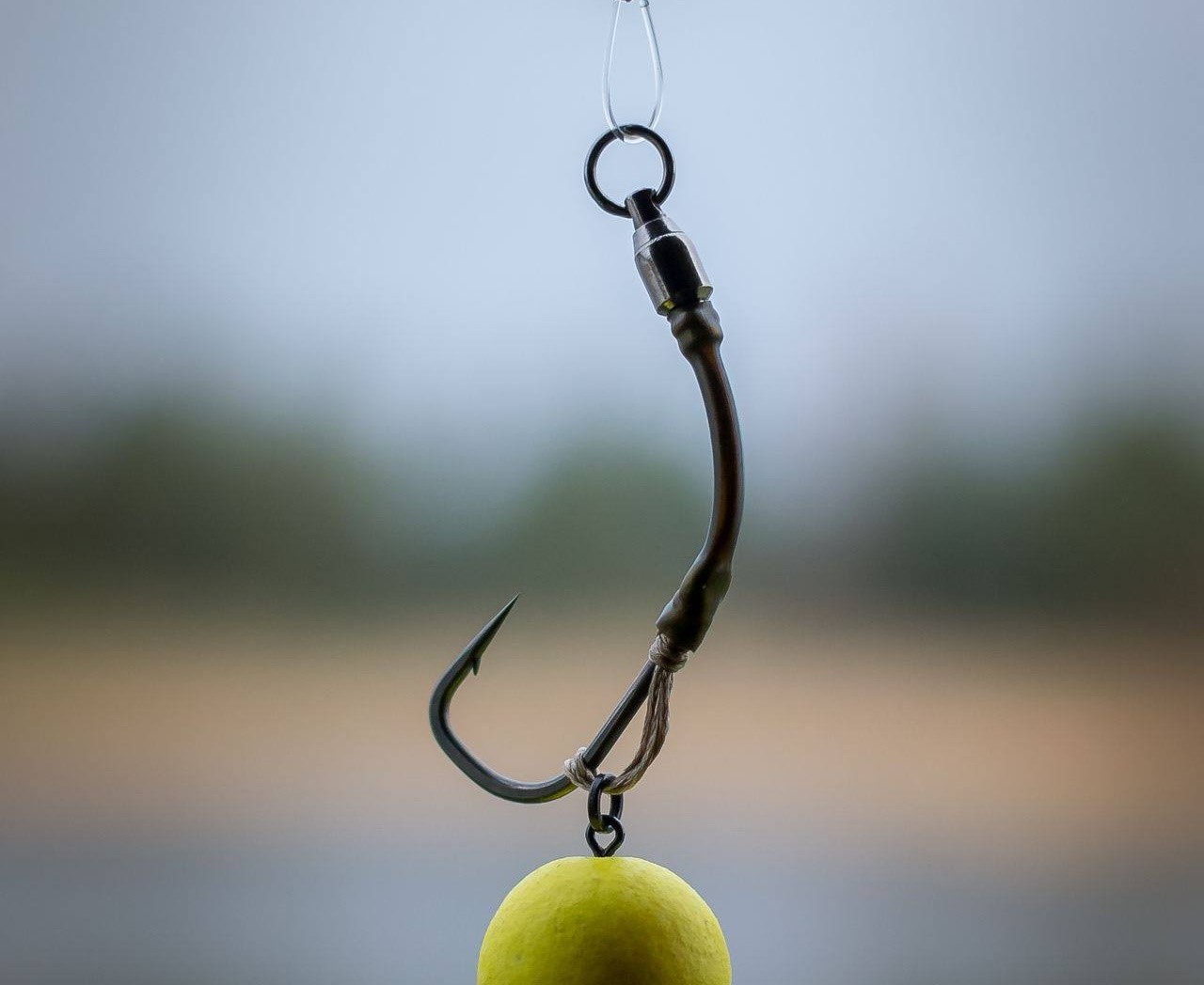 Your Complete Beginners Guide to Fishing Hooks