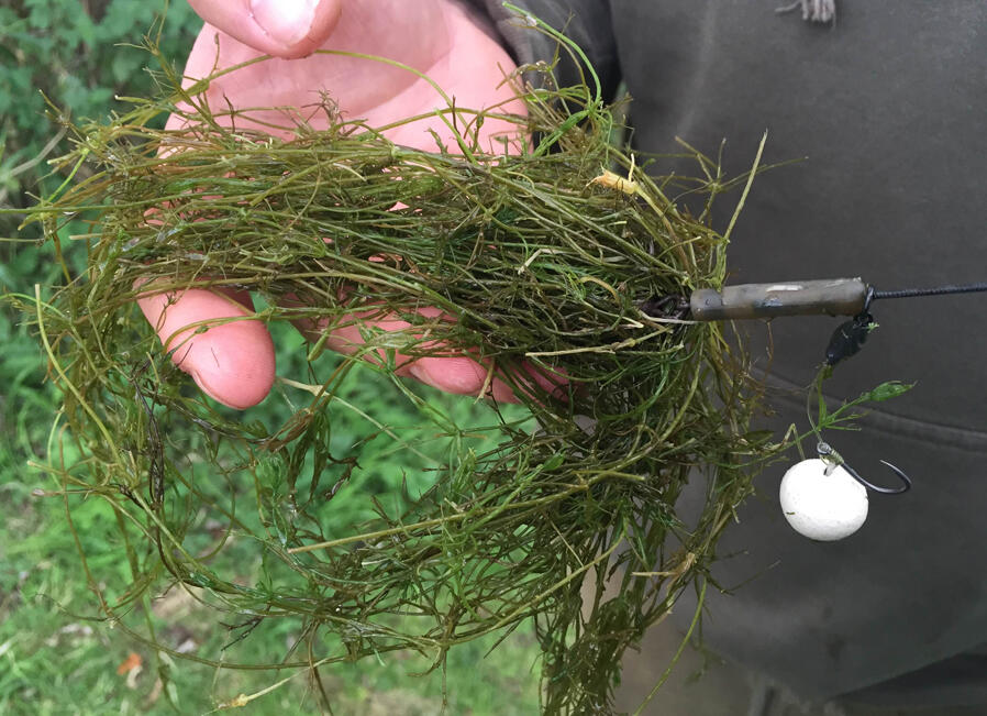 How To Fish Weedy Venues