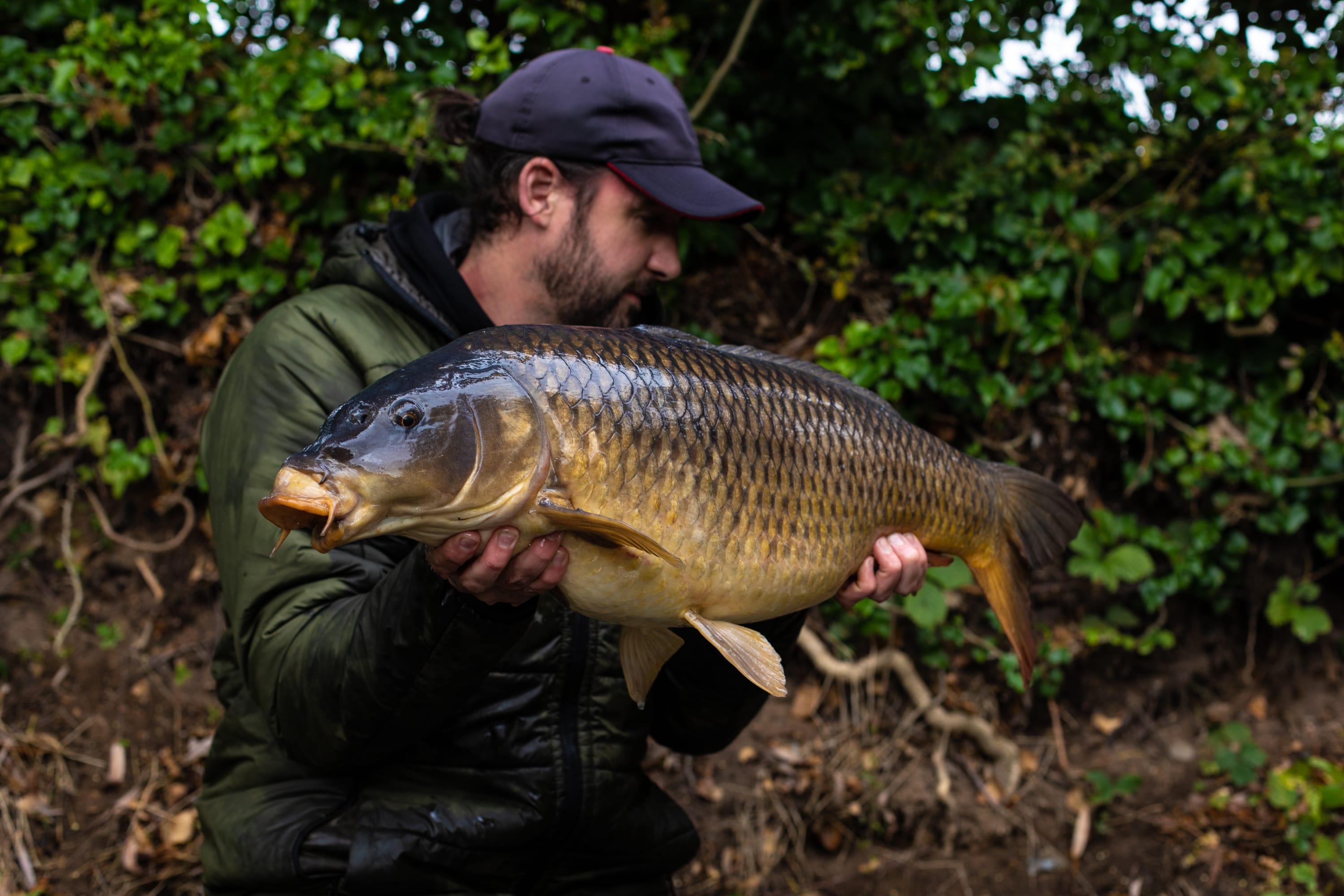 What is the best bait for carp in winter?