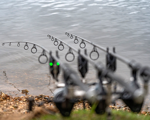 ADTV Carp Chapters - My most Hectic Session! ~ Another screaming bite