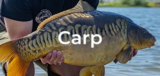 Browse Carp Fishing Tackle