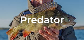 View all Predator Fishing Tackle