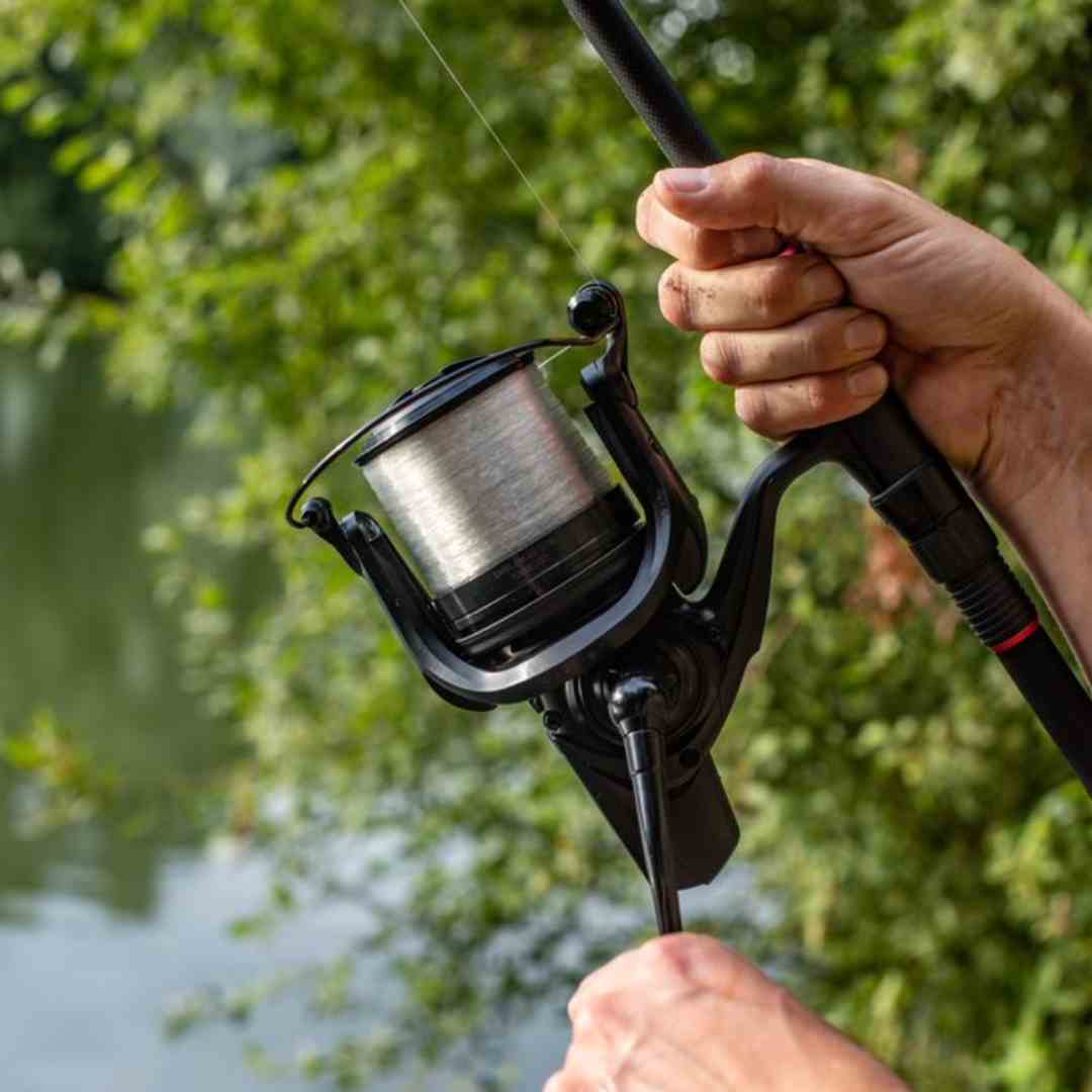 Carp Fishing Reels