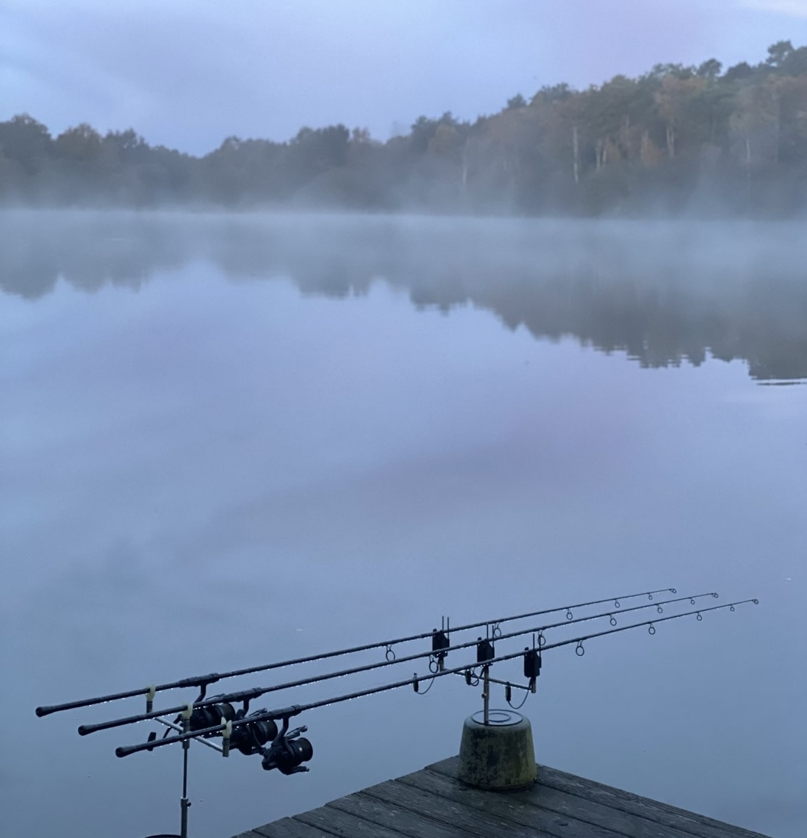 Carp Rods for Fishing Trip