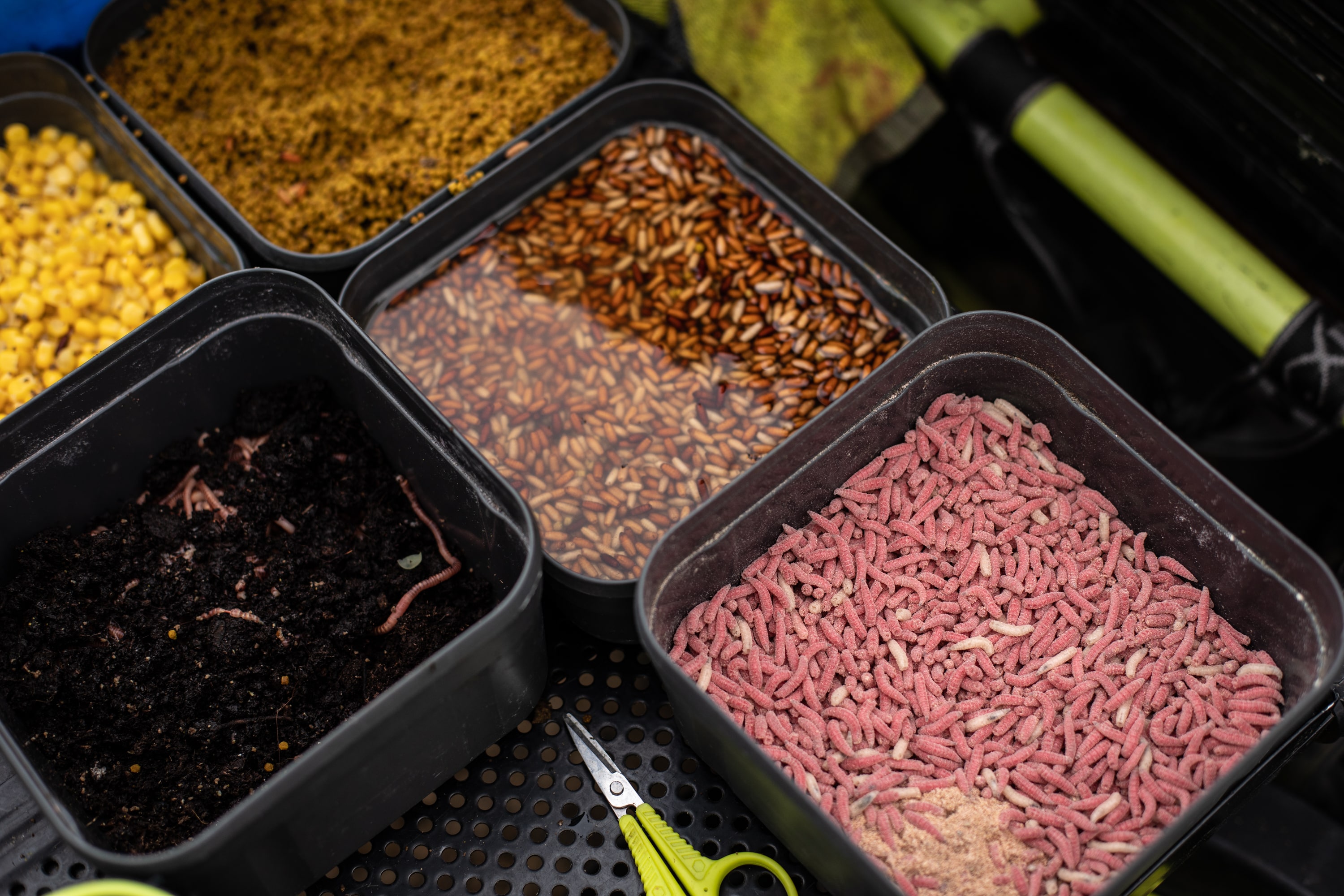 Coarse Fishing Baits Coarse Fishing Baits