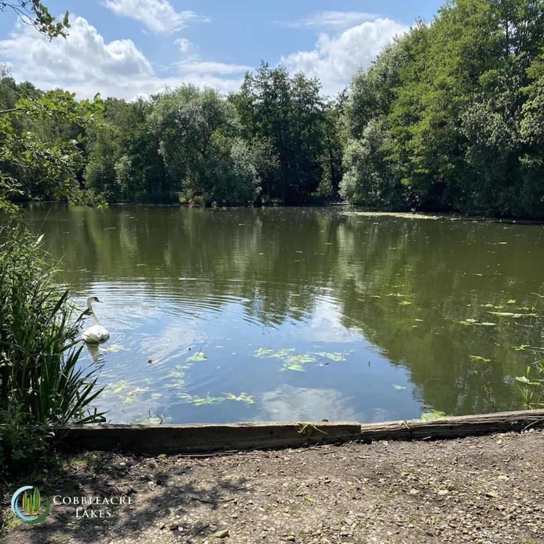 Fishing Cobbleacre Lake
