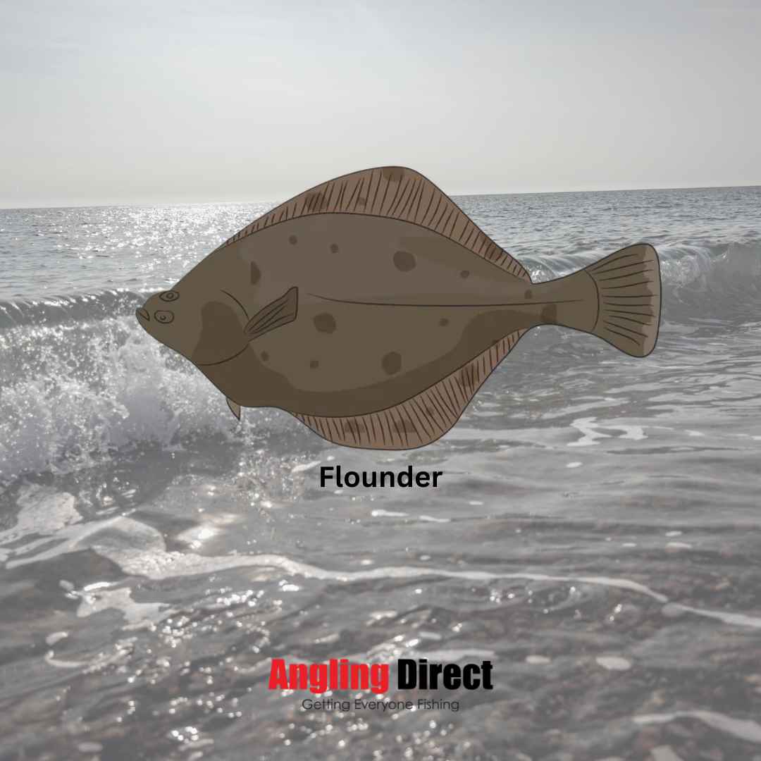 Fishing for Flounder