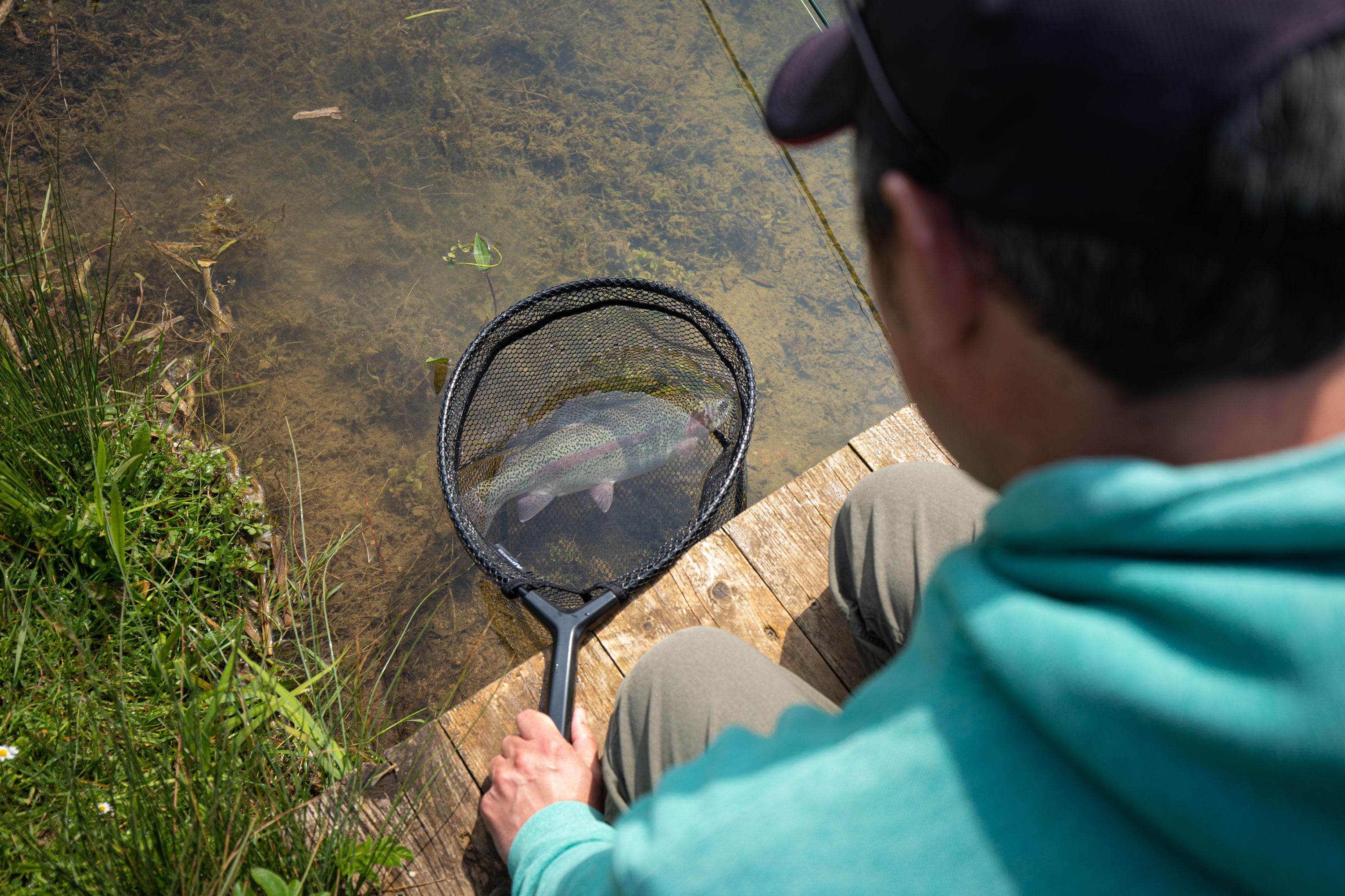 Fly Fishing Angler Releasing Fish